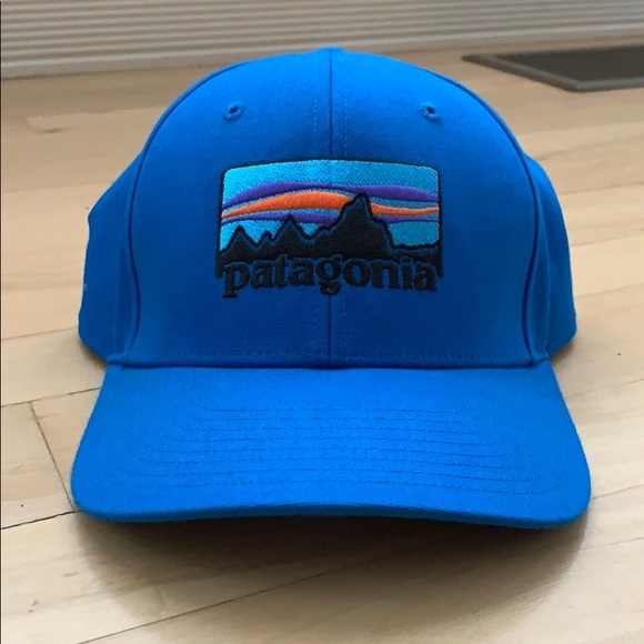 Patagonia Other - Patagonia Snapback Hat